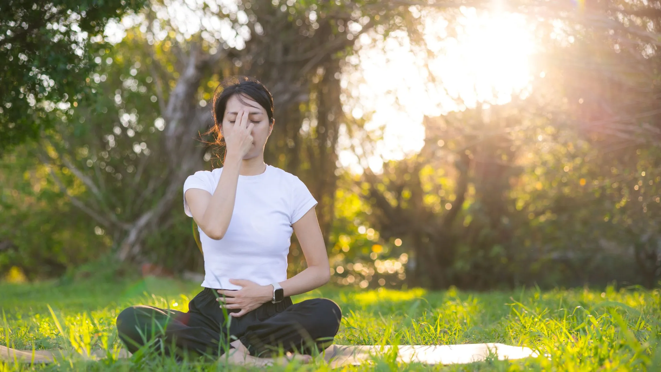 Meditation for Nervous System Regulation